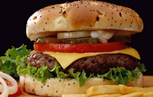 漢堡與肉夾饃：相似的形態(tài)，不同的健康標簽